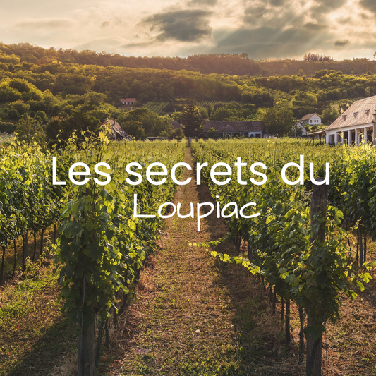 Les secrets du finish Loupiac