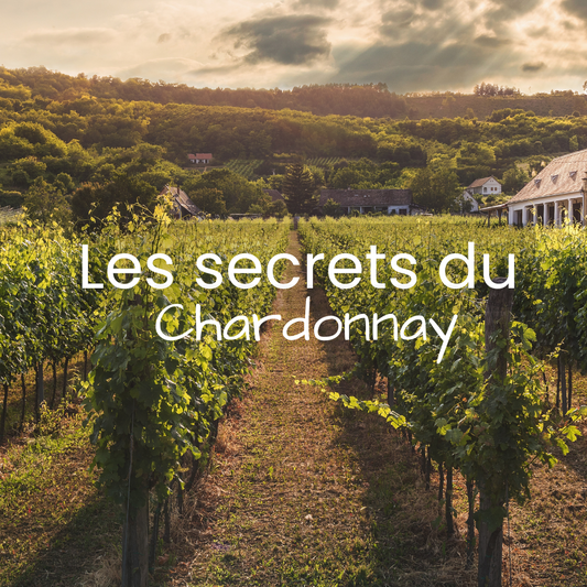 Les secrets du finish en fût de Chardonnay