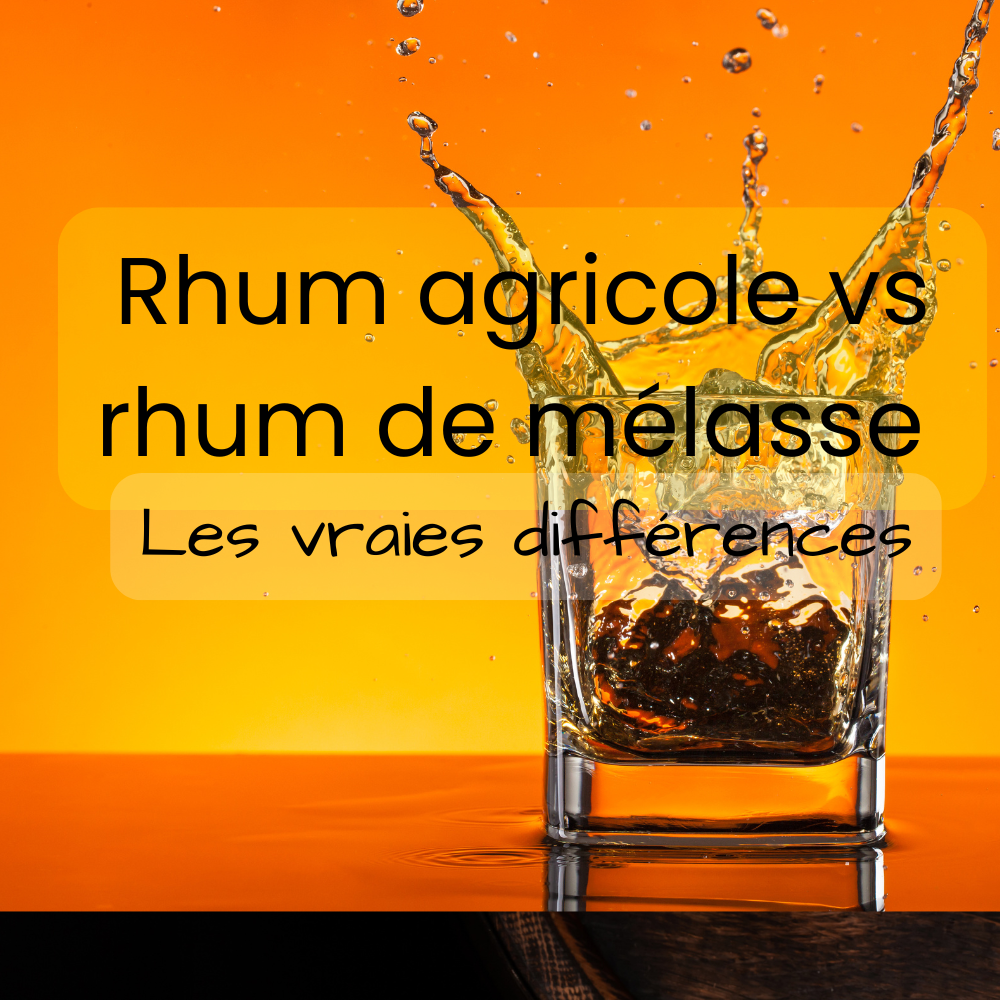 Rhum agricole vs rhum de mélasse : les vraies différences