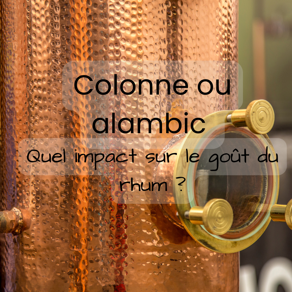 Colonne ou alambic : quel impact sur le goût du rhum ?
