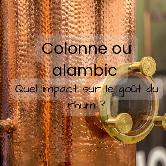 Colonne ou alambic : quel impact sur le goût du rhum ?