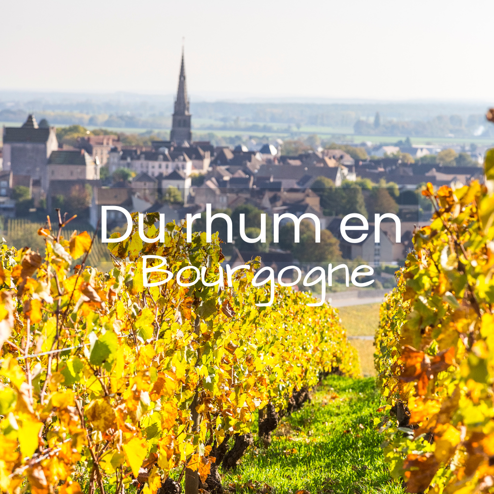 Pourquoi RAW Roads fait vieillir ses rhums en Bourgogne ?