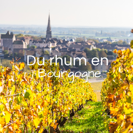 Pourquoi RAW Roads fait vieillir ses rhums en Bourgogne ?